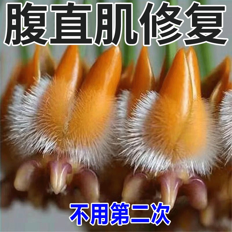 极速腹直肌e分离修复贴产後家用仪古法训练锻炼盆底肌医肚子松弛