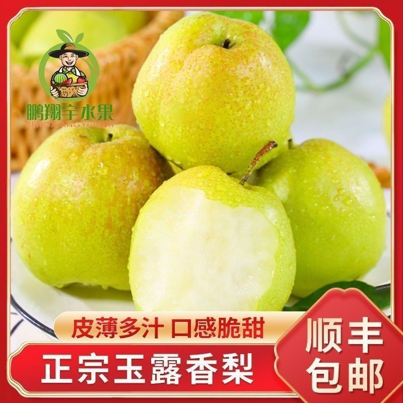 【顺丰包邮】正宗山西玉露香梨皮薄多汁脆甜香梨当季新鲜水果离核