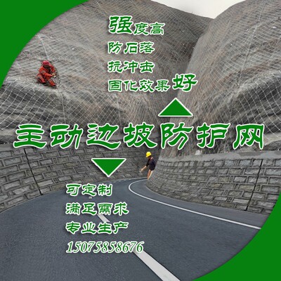 速发主动公坡防护山ss柔性边路护坡安网体滑坡防落石矿山绿化网