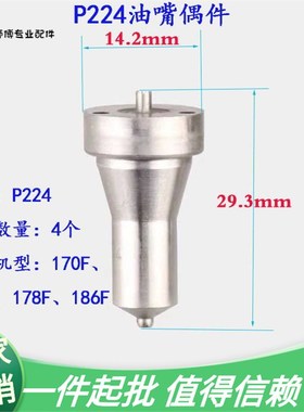 极速风冷柴油机微耕机喷油器偶件173F1A86FA192F P224PN926喷油嘴