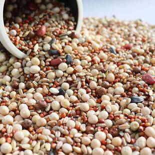 极速鸽粮大全幼鸽鸽粮营养鸽u粮50斤20斤10斤信鸽鸽子食粮饲料通