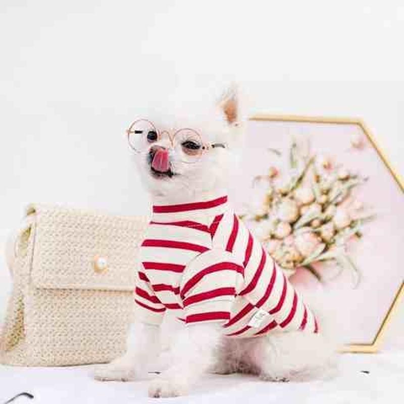 极速狗狗衣服春夏季天薄款装猫咪泰迪比熊K博美小型犬幼犬柯基小