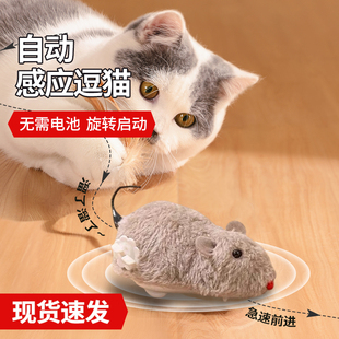 速发老猫玩具电动小猫鼠自嗨解闷斗逗猫棒咪用品大全消耗体力神器