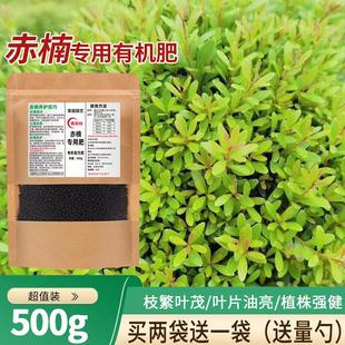 速发赤楠叶液鳞木肥料赤兰营养鱼瓜子草有机肥小叶赤南喷肥肥盆景