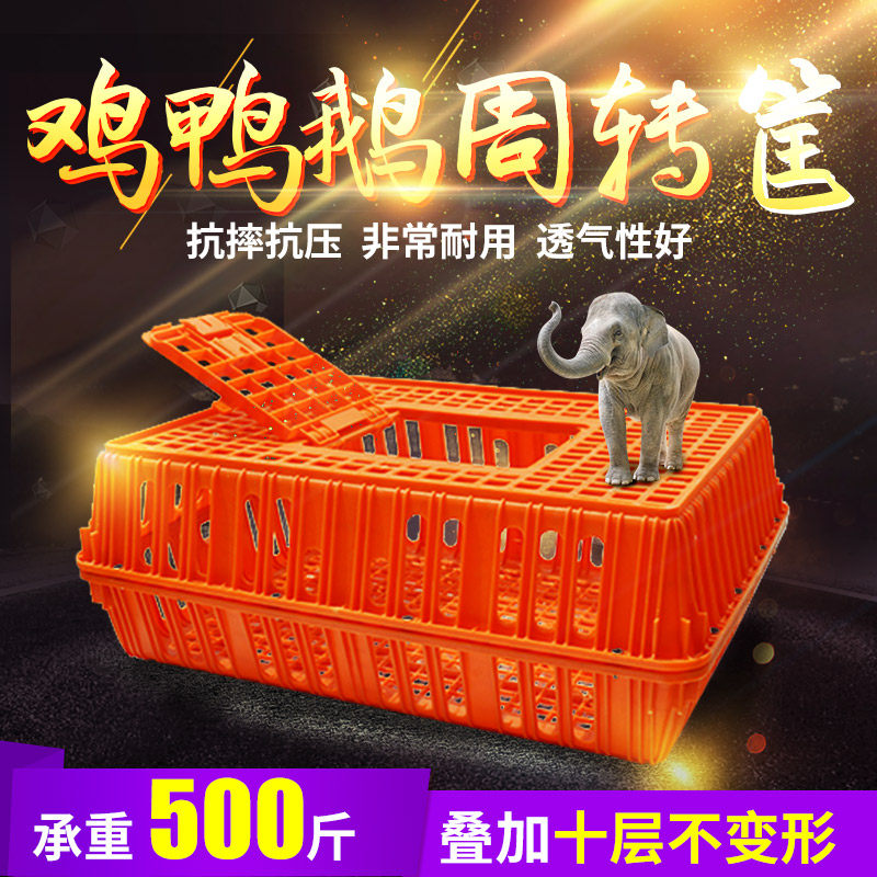 速发禽家鸡鸭输转箱鸭笼塑料周转笼运周筐鸡笼鸡框笼子装鸡的塑料