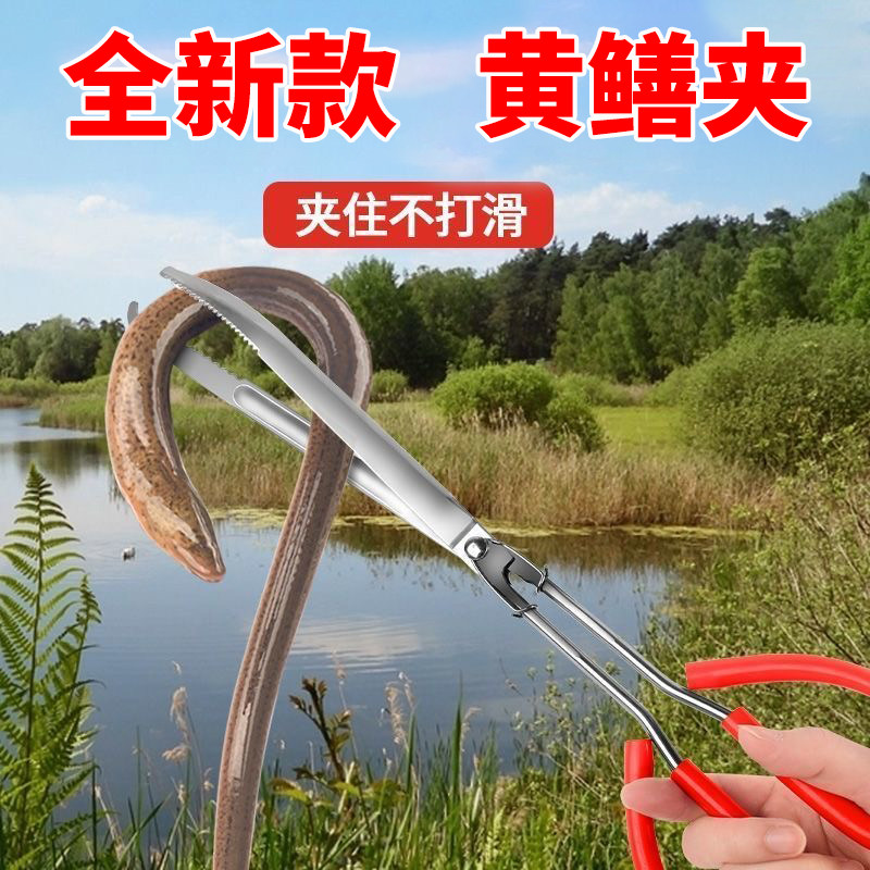 速发不锈钢黄鳝夹子鳝蟹夹泥脱螃鱼钳子防滑防鳅抓捉工具赶海神器
