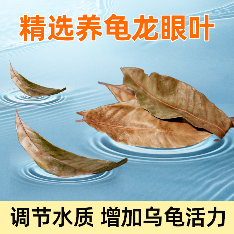 速发精选养龟龙眼烂免煮养龟叶子腐皮叶甲龟白眼躲避南美缸造景叶