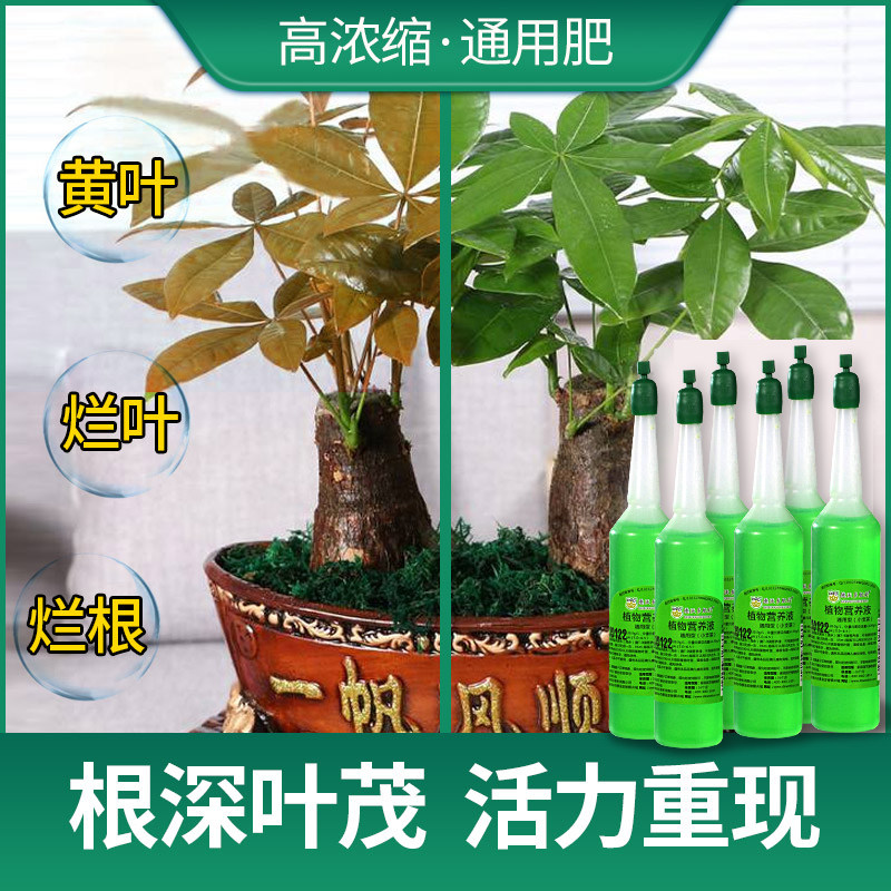 速发植物营养花绿萝通用型土水培盆栽养液多肉富贵花专用浓缩竹卉