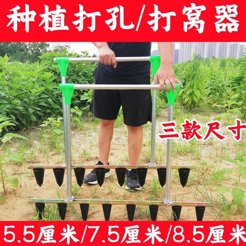 速发草莓打孔器栽种草莓种植打窝工具眼器栽苗神用打农移栽定植神