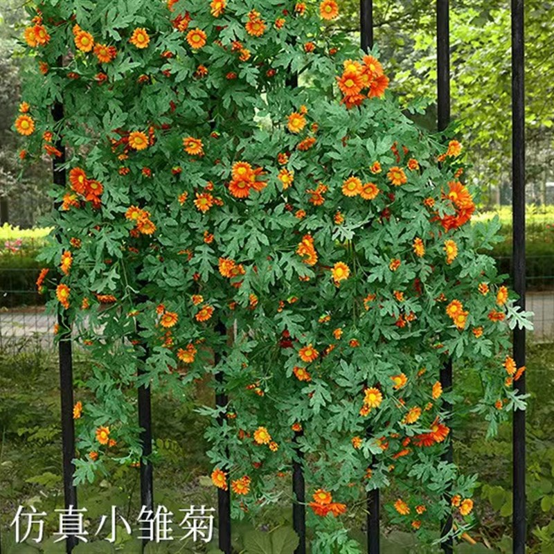 速发雏菊壁挂藤条客厅假花植绿垂吊藤内吊兰室蔓装饰遮挡挂墙物植