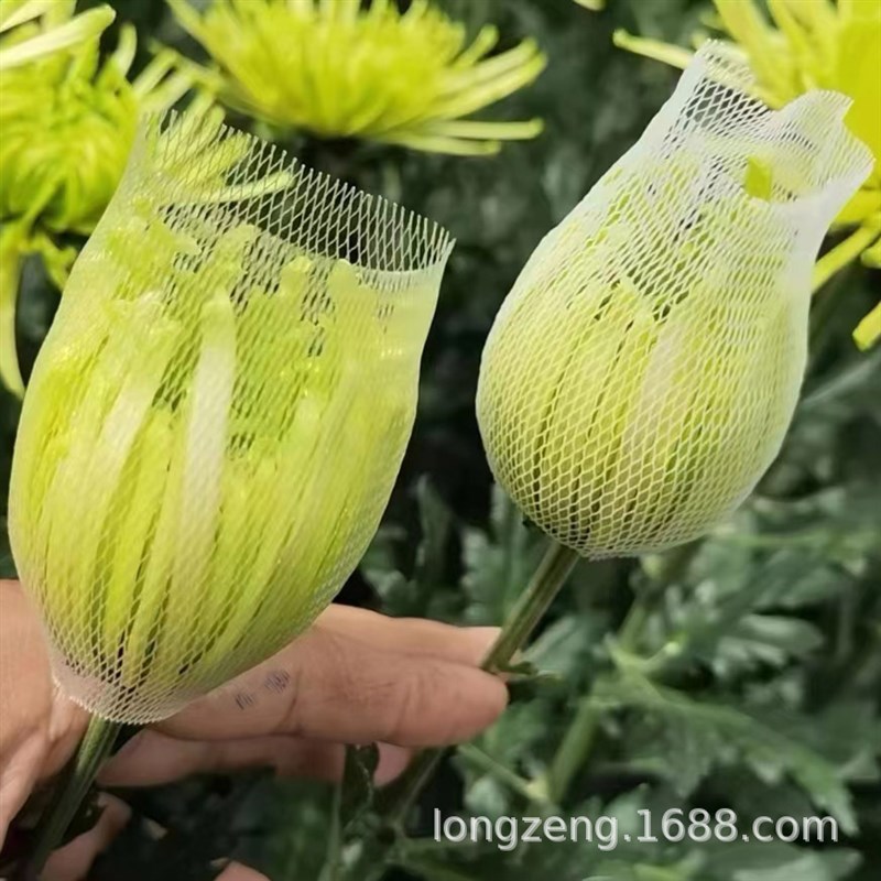 速发大切朵牡丹菊保护网套波斯菊网套 乒乓菊套网袋鲜骨花物流包