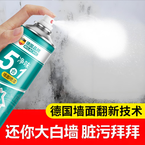 【董宇辉推荐】德国墙面自喷漆