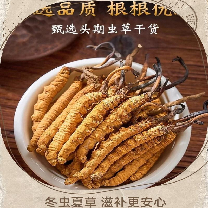 野生冬虫夏草正品虫草头期干货高海拔冬虫草王非西藏那曲礼盒特产