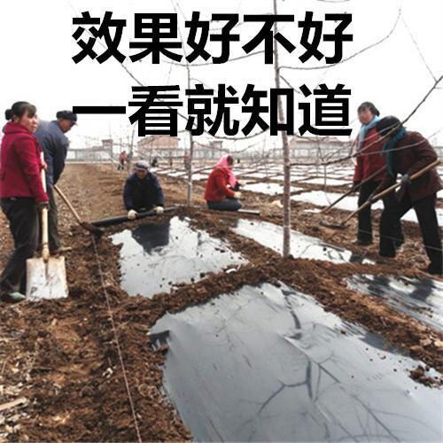 热销黑色地膜 薄膜塑料薄膜 黑地膜 F黑膜农用膜大棚膜种菜 覆盖