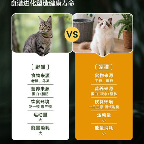 热销【新品】倔强嘴l巴全价鲜肉低温烘焙猫粮532营养平衡亮毛肠胃