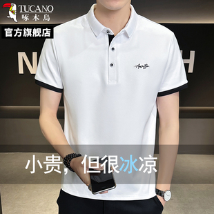 啄木鸟2025年夏季 男Q 撞色条纹袖 口刺绣标亲肤透气商务休闲Polo衫