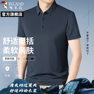 爸爸装 男士 啄木鸟2025新款 冰丝中年体恤男夏季 短袖 t恤翻领polo衫
