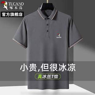 短袖 Polo衫 商务Polo衫 啄木鸟男士 男士 T恤夏季 冰丝翻领新款 薄款