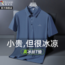 夏季 啄木鸟官方旗舰店爸爸短袖 2025新款 t恤男士 中老年冰丝polo衫