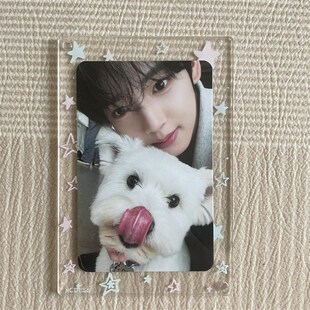 SAY 章昊 NEVER 韩维辰 沈泉锐小卡 团封小狗卡 zb1正规一NEVER