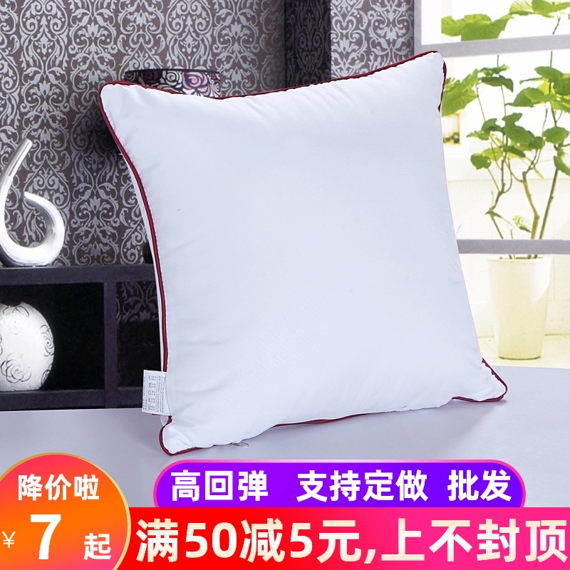 抱枕芯儿沙发靠垫芯子内o胆40 45 50抱枕心枕芯60正方形内芯靠枕