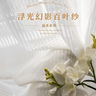 网红竖百叶纱帘白纱窗帘雪纺纱卧室飘窗透光不透人白色窗纱梦幻帘