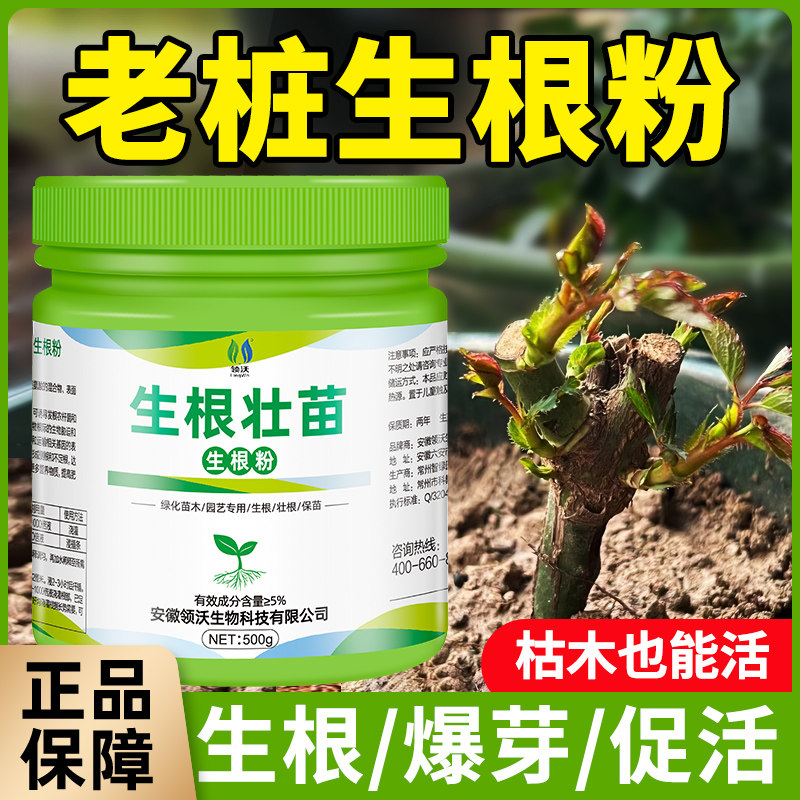 速发老桩生根粉植物根用生通剂壮苗剂快速生根液植树月季多肉果物