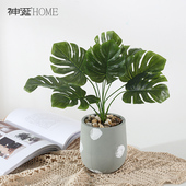 新品 饰盆景网红假花 ins风北欧仿真植物盆w栽摆件室内客厅龟背叶装