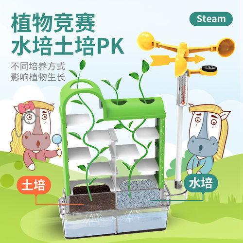 极速幼儿园小g学生自然生态探索实验材料手工种植观察植物科学diy