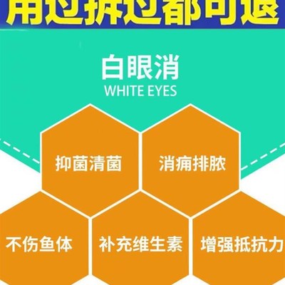极速专治鱼白g眼红龙蒙眼药鱼眼肿胀充血凸眼药水霉病乌龟白眼病