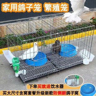 极速养鸽子专e用笼巢箱鸽用八鸟哥专用鸟笼大尺寸鸽子笼子特专科