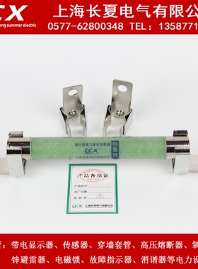 极速高压熔断器电压互感m器XRNP1-10/12KV/0.5A  1A带夹子