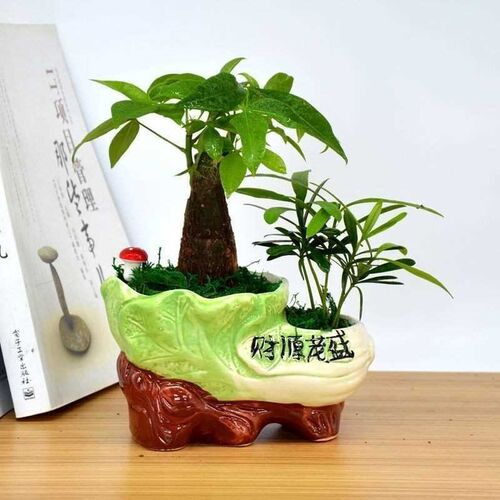 极速仿真a植物假绿植装饰室内防真花塑料招财发财树客厅摆设大按