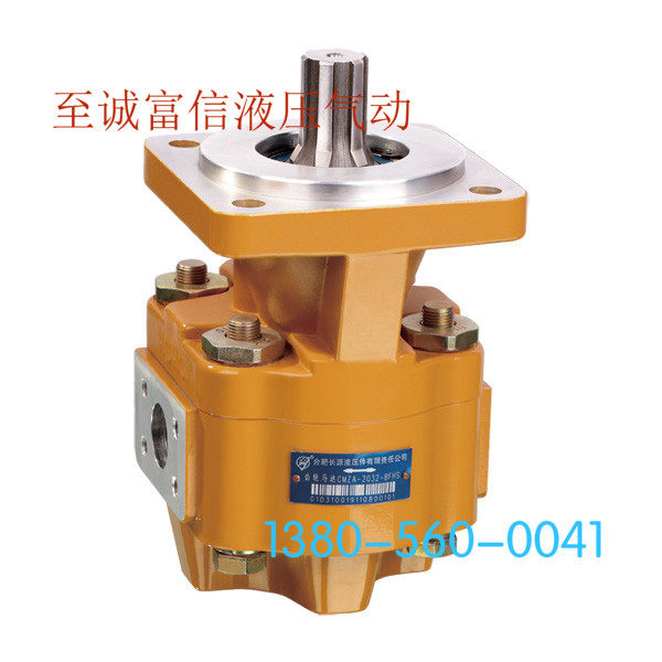 新品钻探桩机用马达CMZ2063-BFPS/BBFHS/BFXS合肥长源液压/合液HC