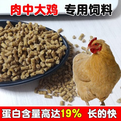 新品蛋鸡饲料下蛋中鸡鸭鹅粮食钓鱼饵料打窝N家养雏禽小鸡颗粒开
