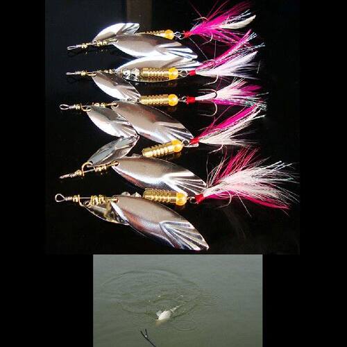 极速5.5g Beead colors random Spinners lure box For Perch Sal