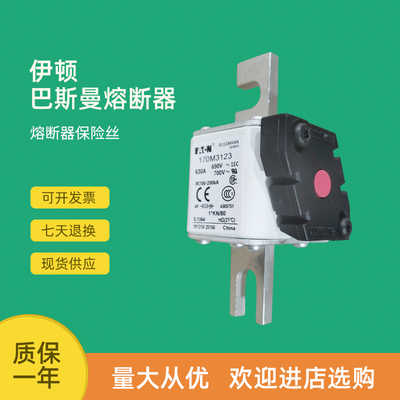 极速全新快速熔断器保险170M3123 170M3138 J170M3139 170M3140