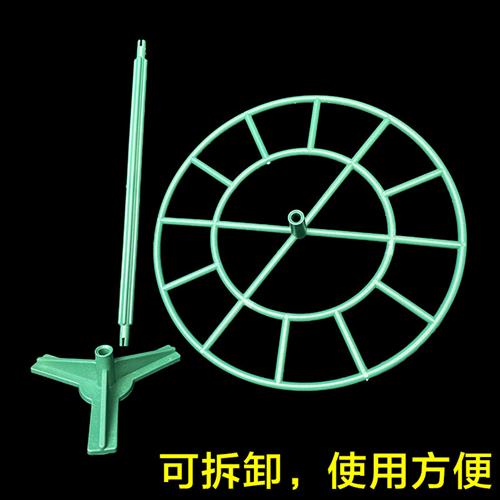 极速重瓣向日葵棒棒n糖支架造型花架子植物蟹爪兰支撑防倒伏爬藤