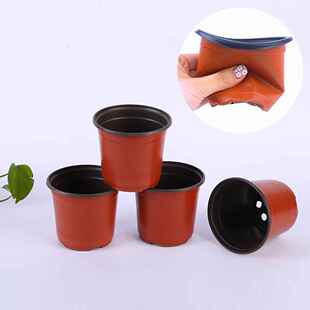 极速100pcs Succulents Reusvable Balcony Container Transplant
