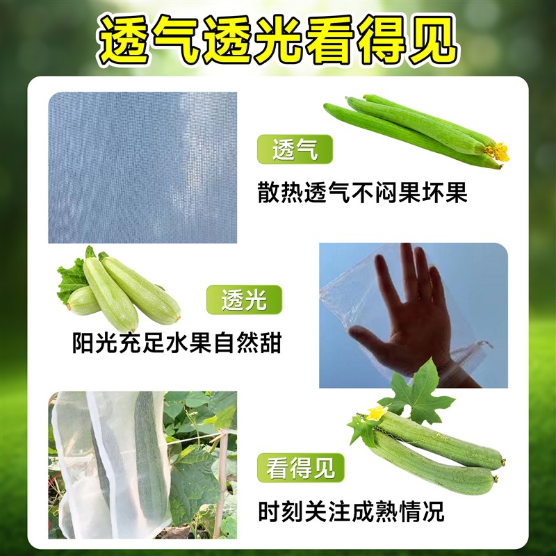 热销丝瓜防虫套袋l果袋防鸟专用袋黄瓜苦瓜尼龙网纱网套袋神器保