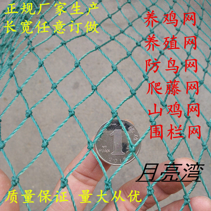 热销加粗尼龙大棚果园果树防鸟网鱼塘养殖葡萄R园防鸟用网农用防