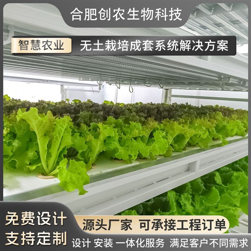 热销立体栽培育h苗种植架无土栽培设备实验室校园水培蔬菜温室大