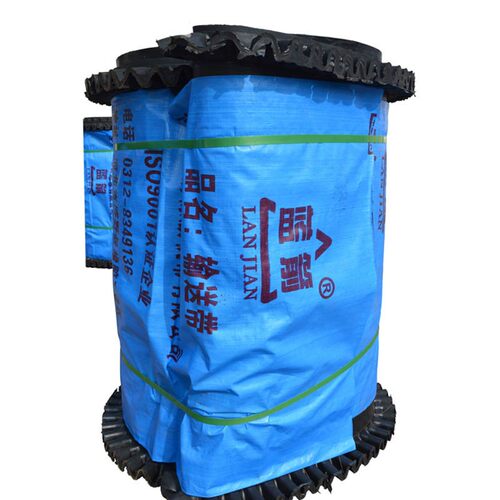 热销现货速发河北工n厂供应称重给料机橡胶传送 环形挡板裙边输送