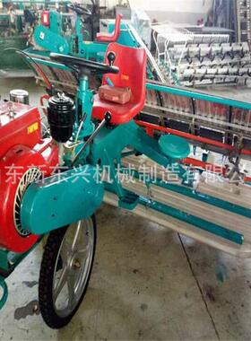 价水稻插机6行8行苗小型栽苗TCZ机自走乘秧坐式水稻秧种植机格