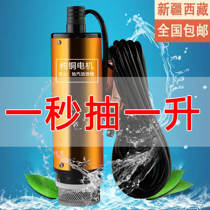 速发新疆西藏包邮抽油泵1车v抽水泵24v柴油电动抽油机小型2载自吸