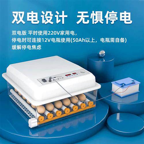 速发孵化器小型家用孵蛋器孵自动智能芦丁鸡孵化机孵小鸡的机器全