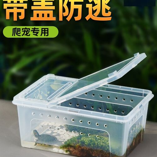 速发乌龟眠箱爬虫饲养盒龟过装备用品眠缸蜘蛛蜗牛守宫蜥蜴