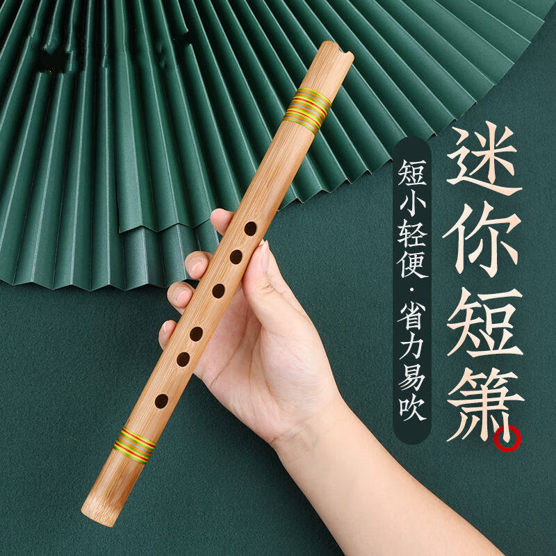 速发零基础入门洞萧可携式苦竹短萧笛古风六初学萧黑色迷你短箫【