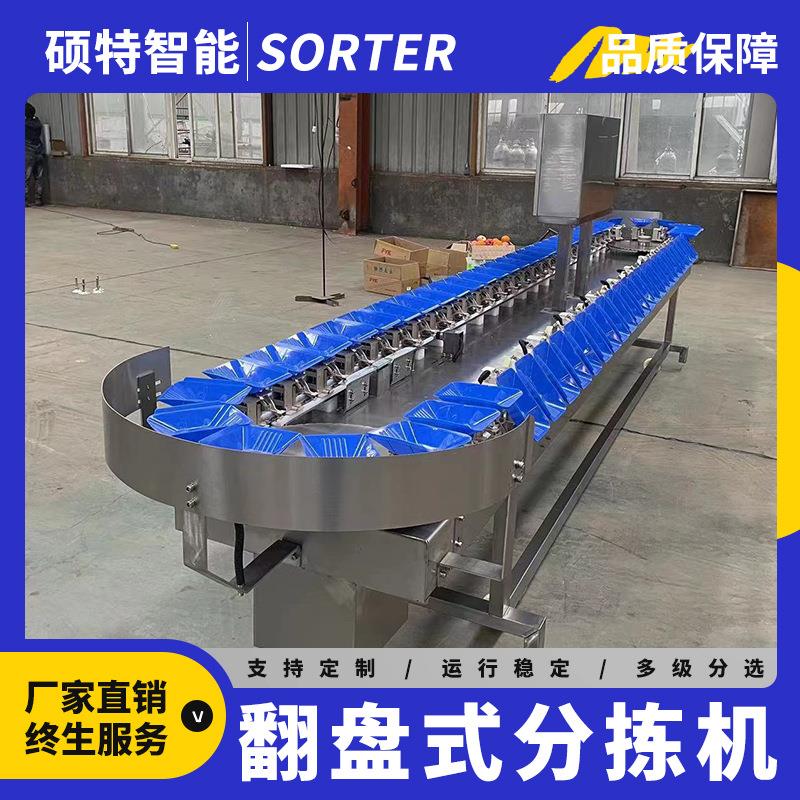 蜜桃称重挑选设备 马蹄莲转盘式水果分选机 苹果梨重量选果机