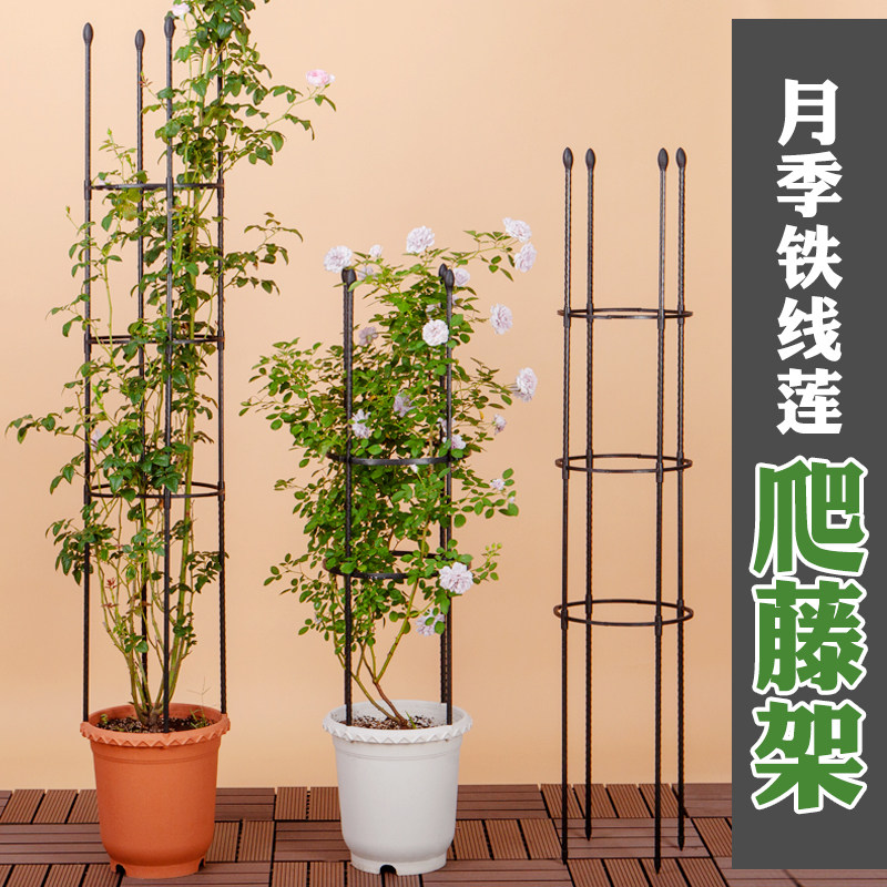 速发台花架爬藤架室外户铁绿萝架子月季花盆支架内线莲蓝雪花花支